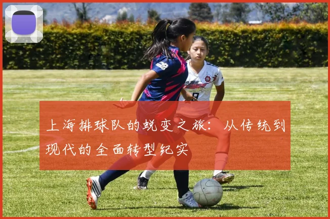 上海排球队的蜕变之旅：从传统到现代的全面转型纪实